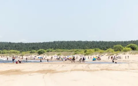Słoneczna plaża pełna ludzi, z lasem w tle. To idealne miejsce na wypoczynek, jak w urokliwej wsi nad morzem.