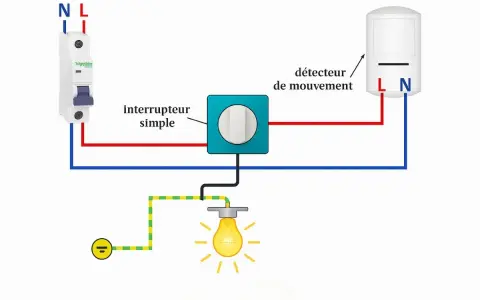 Schéma de branchement d'un projecteur avec détecteur de mouvement, interrupteur simple et disjoncteur.