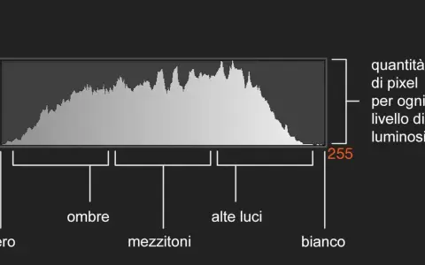 Un istogramma mostra la distribuzione dei pixel per ogni livello di luminosità, da nero (0) a bianco (255), evidenziando ombre, mezzitoni e alte luci.