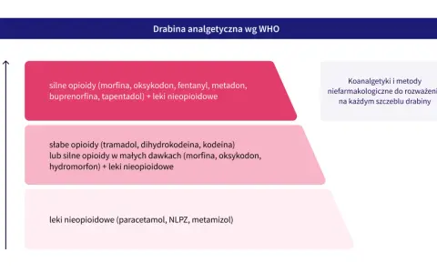Drabina analgetyczna WHO: silne i słabe leki opioidowe (morfina, oksykodon, tramadol) oraz nieopioidowe (paracetamol) stosowane w leczeniu bólu.