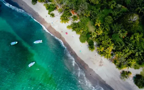 Widok z lotu ptaka na tropikalną plażę z palmami, turkusową wodą i łodziami.