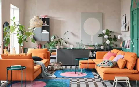 Un salon moderne avec deux canapés orange vif. Un tapis rond aux couleurs vives et des plantes vertes apportent de la vie. L'idée est d'associer 2 canapés différents pour un style unique.