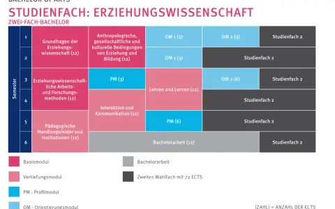 Studienplan für Erziehungswissenschaften im Bachelor. Zeigt Module wie "Grundfragen der Erziehungswissenschaft" und "Pädagogische Handlungsfelder".
