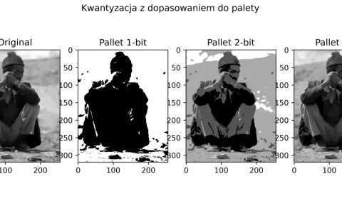 Oryginalny obraz mężczyzny siedzącego na ziemi, obok jego kwantyzowane wersje: 1-bitowa (czarno-biała), 2-bitowa (szara) i 4-bitowa. Widać, jak zredukowana paleta kolorów wpływa na szczegóły, tworząc efekt anti dither.