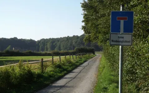 Strada sterrata con segnale 225 (strada senza uscita). Campo verde e bosco sullo sfondo.