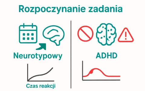 Rozpoczynanie zadań: neurotypowi vs ADHD. Grafika ilustruje różnice w reakcji mózgu, sugerując, że dysortografia może wpływać na czas reakcji.