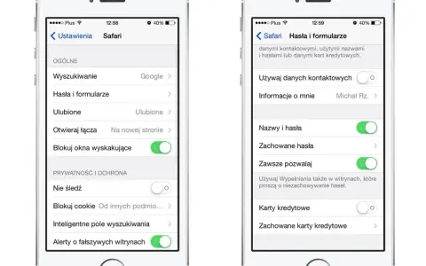 Ustawienia Safari: zarządzanie hasłami i formularzami, blokowanie wyskakujących okienek i alerty o fałszywych witrynach.
