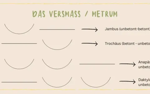 Schema zum metrum bestimmen: Zweisilbrig (Jambus, Trochäus) und Dreisilbrig (Anapäst, Daktylus) mit Betonungsmustern.