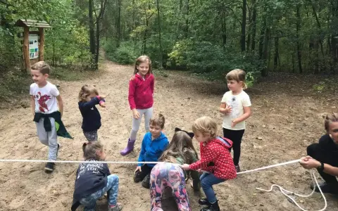Grupa dzieci w wieku 6-12 lat bierze udział w przeciąganiu liny w lesie. Wszyscy świetnie się bawią!