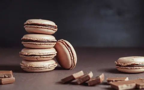 Une pile de macarons de Noël à la garniture chocolatée, avec des morceaux de chocolat sur le côté.