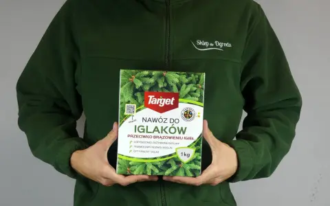 Jaki nawóz do iglaków na wiosnę, aby uniknąć brązowienia igieł?