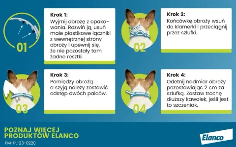 Jak działa obroża Foresto? Skuteczna ochrona przed pasożytami dla psa