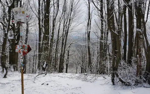 Zimowy las, szlak turystyczny i drogowskaz. W oddali widać **lackowa ściana płaczu**.