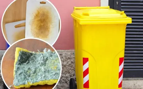 Brudna gąbka i deska do krojenia obok żółtego kontenera na śmieci.