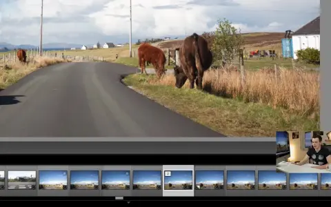 Dans Lightroom, on peut dupliquer une photo pour expérimenter. Ici, des vaches paissent près d'une route écossaise.