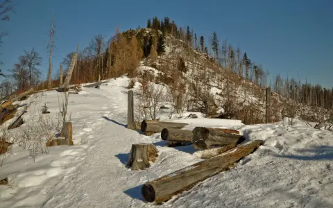 Śnieg pokrywa ścieżkę na **nosal góra samobójców**. Leżące pnie drzew i kikuty tworzą surowy krajobraz.