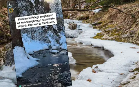 Zimowy spacer przez Wąwóz Homole. Lód i śnieg otaczają strumień, tworząc malowniczy krajobraz. Czas przejścia przez ten piękny rezerwat to niezapomniane przeżycie.