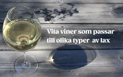 Glas med vitt vin på träbord, perfekt vitt vin till lax.