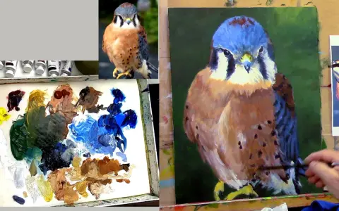 Un artiste peint un faucon crécerelle avec de l'acrylique, utilisant une palette de couleurs vives pour capturer les détails de l'oiseau.