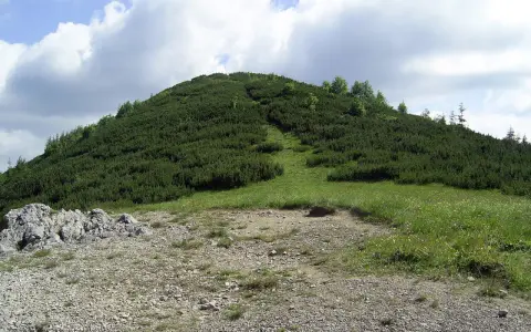 Wielka królowa kopa, porośnięta kosodrzewiną, wznosi się ku błękitnemu niebu z chmurami. Ścieżka wije się po jej zboczu.