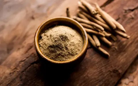 Ashwagandha Pulver in einer Schale und Wurzeln daneben. Wann einnehmen? Ideal morgens oder abends für Stressabbau.