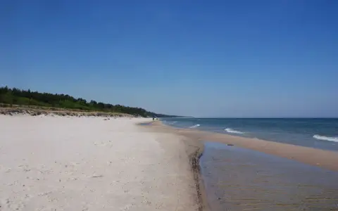 Piękna plaża w Karwieńskich Błotach. Jasny piasek, spokojne morze i las w tle. Idealne miejsce na spacer.
