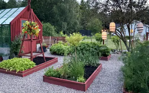 Vacker trädgård med odlingslådor i trä. Här finns odla i pallkrage tips med sallad, lök och örter. Röda växthus och lyktor i träd.