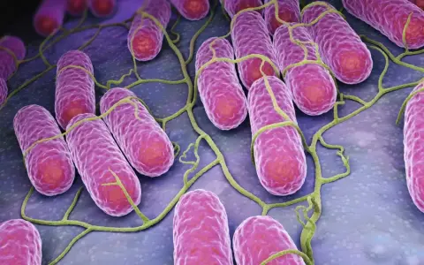 Batteri rosa allungati con flagelli verdi, che rappresentano il microbioma cutaneo.