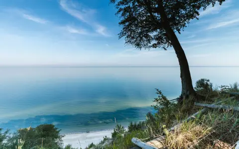 Widok na spokojne morze z klifu w Międzyzdrojach. Drzewo na pierwszym planie, plaża w oddali. Piękne międzyzdroje atrakcje przyrodnicze.