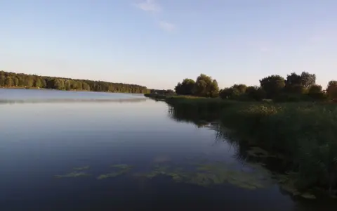 Spokojne gołuchowskie jezioro o zachodzie słońca, otoczone lasem i trzcinami.