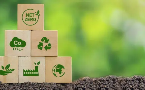 Recykling: Jak skutecznie przetwarzać odpady i chronić środowisko