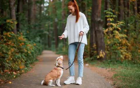 Rudowłosa dziewczyna uczy psa chodzić na smyczy w lesie. Pies siedzi, patrząc na nią z uwagą.