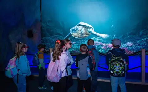 Oceanarium Blue City? Poznaj World of Reptiles największą wystawę!