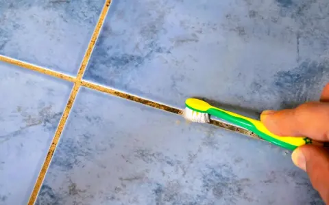 Main tenant utilise une brosse à dents pour nettoyer joint carrelage.