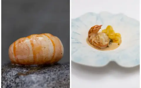Crevette sur pierre et crevette avec gnocchis, deux présentations de spécialités parisiennes.