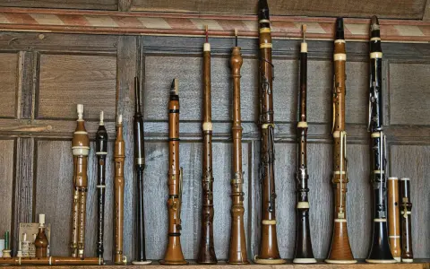 Une collection d'instruments à vent anciens, une véritable famille des vents, alignés sur un mur boisé.