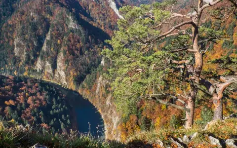 Widok z punktu sokolica ile się idzie. Jesienne barwy lasów otaczają meandrującą rzekę.