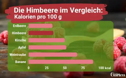 Vergleich von Kalorien pro 100g: Himbeeren sind gesund und haben weniger Kalorien als Bananen.