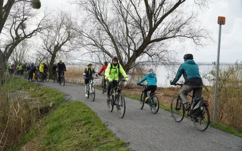 Grupa rowerzystów przemierza malownicze ścieżki rowerowe Szczecina, ciesząc się aktywnym wypoczynkiem nad wodą.