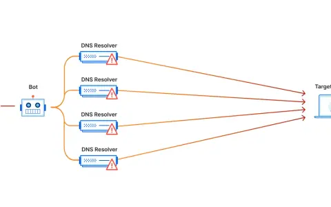 Angreifer nutzen einen Bot, um mehrere DNS-Resolver zu überlasten und einen DDoS-Angriff auf ein Ziel auszuführen.