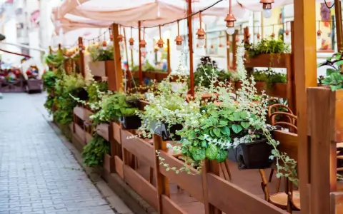 Zielony ogródek przy restauracji, pełen wiszących roślin i drewnianych mebli, zaprasza do odpoczynku.
