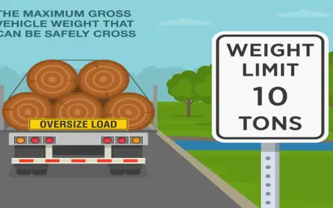 Ciężarówka z drewnem ma znak "Oversize Load". Obok znak drogowy: "Weight Limit 10 Tons". Maksymalna masa całkowita pojazdu to 10 ton.