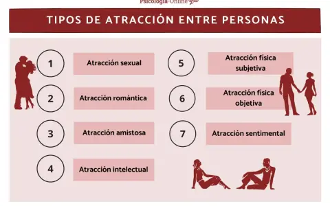 Diagrama de los tipos de atracción entre dos personas: sexual, romántica, amistosa, intelectual, física subjetiva y objetiva, y sentimental.