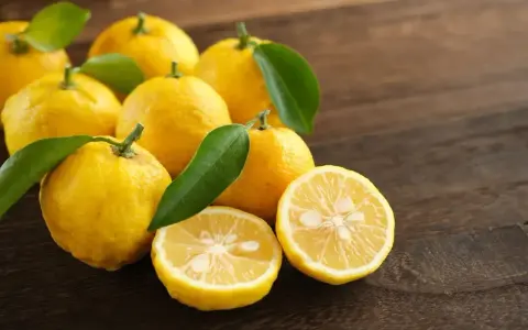 Kilka żółtych, pomarszczonych owoców yuzu z zielonymi listkami na ciemnym, drewnianym tle. Jeden owoc przekrojony na pół.