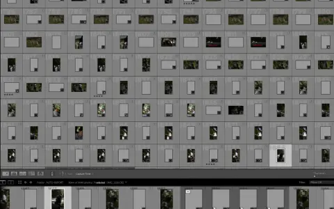 Interface Lightroom : plusieurs vignettes de photos, certaines avec un point d'exclamation indiquant un "fichier introuvable".