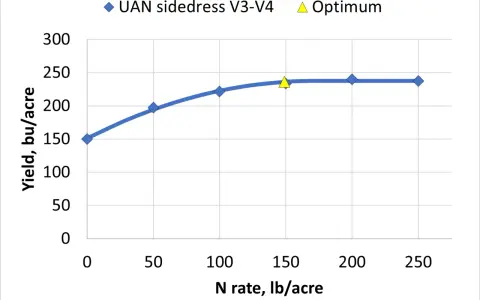 Graph shows corn yield in bushels per acre increasing with N rate, reaching an optimum around 240 bu/acre.