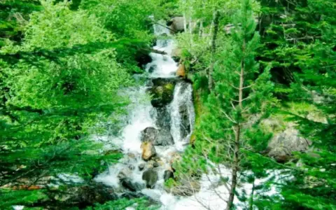 Cascada entre frondosos árboles verdes, ideal para benasque rutas sencillas. El agua desciende por rocas en un entorno natural exuberante.