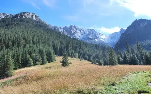 Piękna Dolina Kościeliska. Ile km do schroniska? Wspaniały widok na las i ośnieżone szczyty.