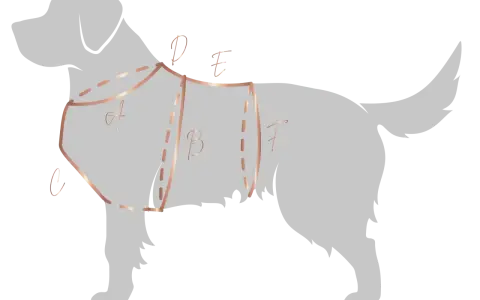 Ilustracja pokazuje schematyczne ujęcie psa z zaznaczonymi liniami i literami (A, B, C, D, E, F), które pomagają określić, jak zmierzyć szelki dla psa.
