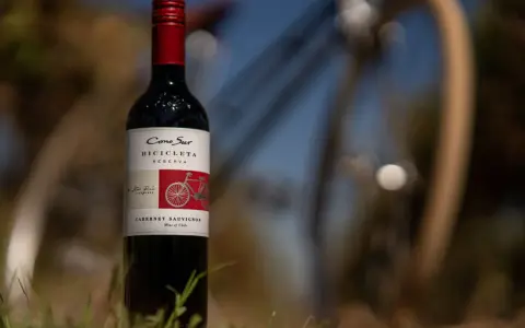 Butelka wina Cabernet Sauvignon z rowerem na etykiecie, stojąca na trawie.